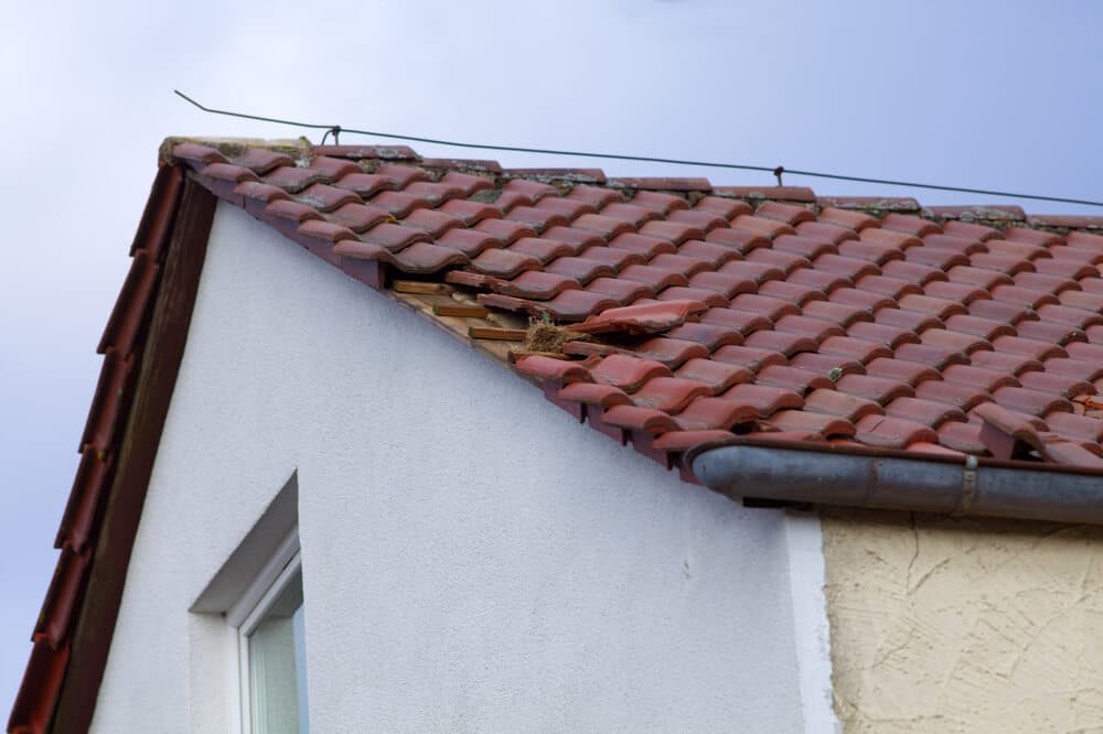 fix leaks in a roof