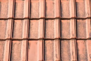 dark streaks on your roof