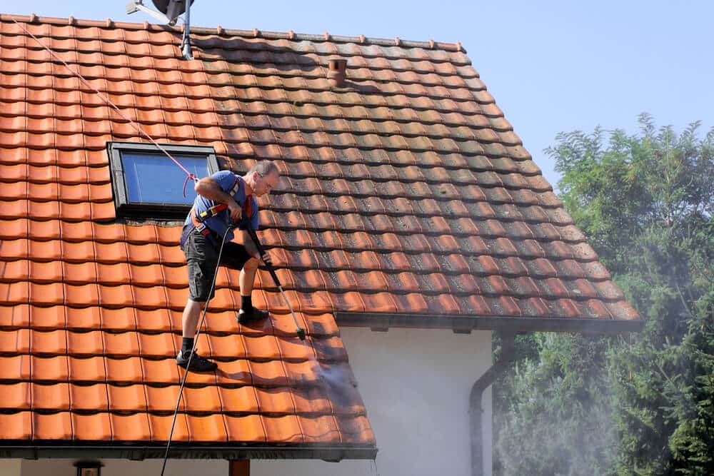 dark streaks on your roof